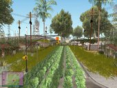 Abandon Los Santos